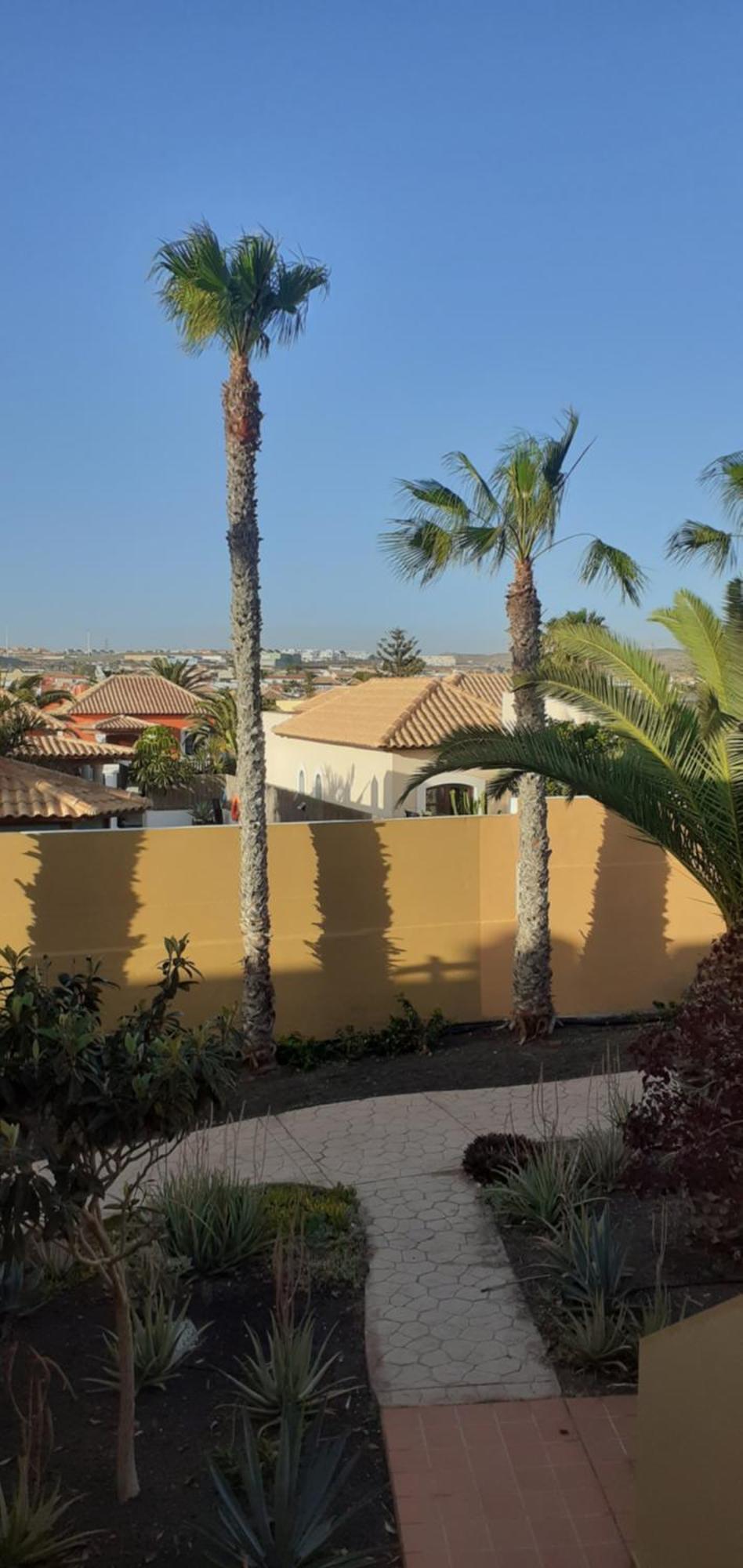 Oasis Waves House Papagayo Διαμέρισμα Κοραλέχο Εξωτερικό φωτογραφία
