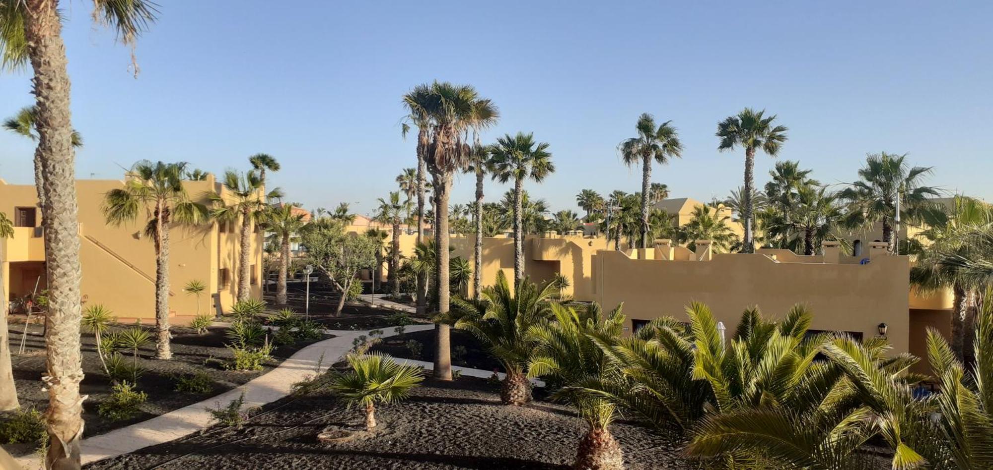 Oasis Waves House Papagayo Διαμέρισμα Κοραλέχο Εξωτερικό φωτογραφία