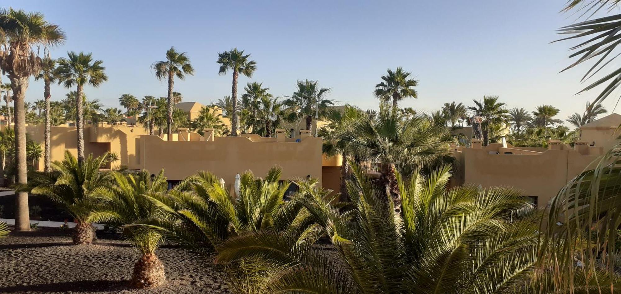 Oasis Waves House Papagayo Διαμέρισμα Κοραλέχο Εξωτερικό φωτογραφία