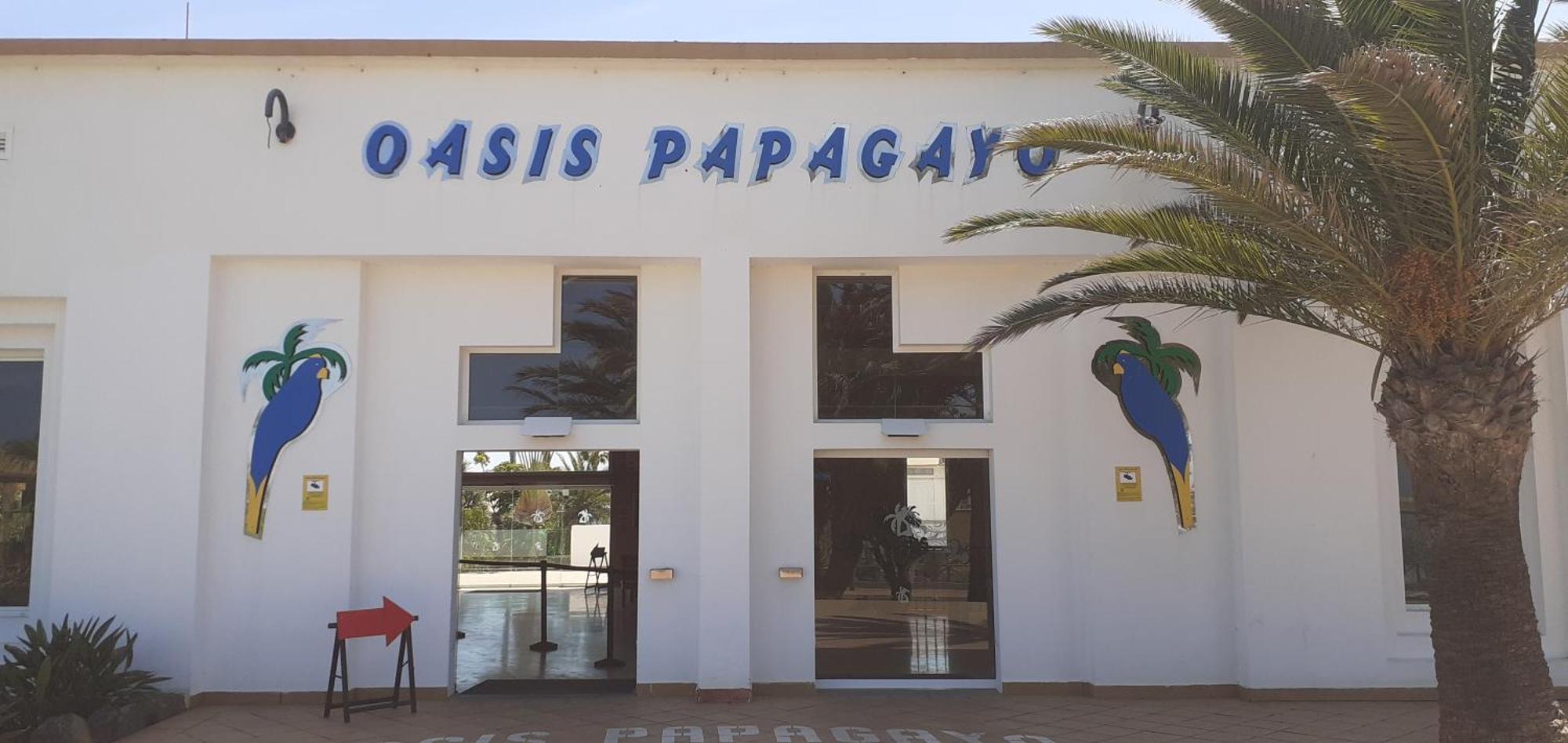 Oasis Waves House Papagayo Διαμέρισμα Κοραλέχο Εξωτερικό φωτογραφία